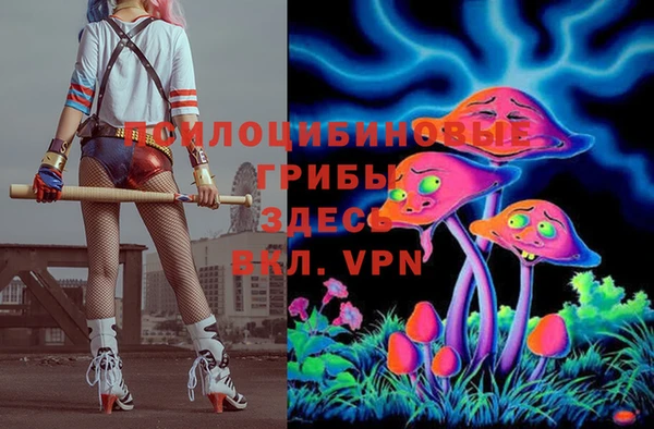 ешки Гусь-Хрустальный