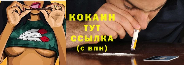 ешки Гусь-Хрустальный