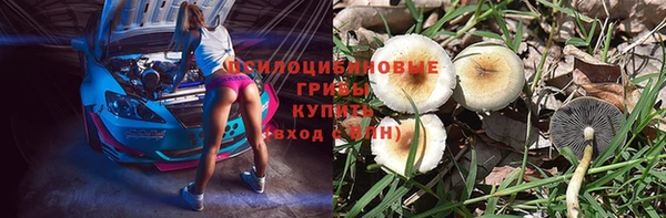 амфетамин Гусиноозёрск