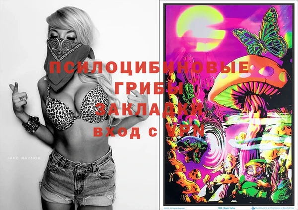 ешки Гусь-Хрустальный