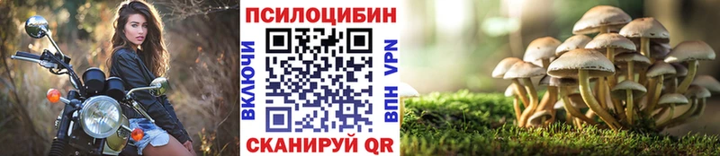 Галлюциногенные грибы GOLDEN TEACHER Купить Харовск